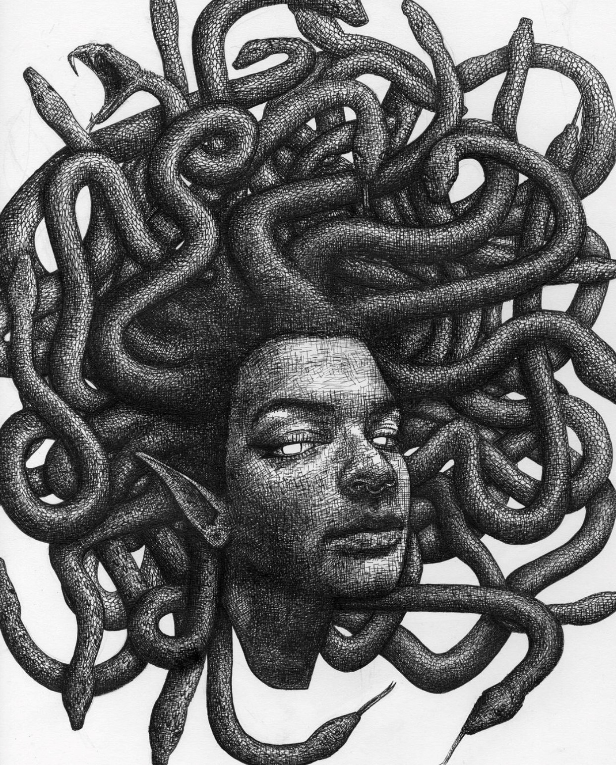 This is alt text for the image