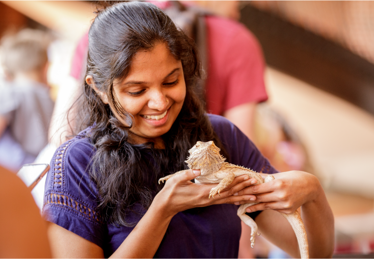 Petting zoo with lizard